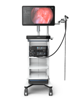 Endoscopy